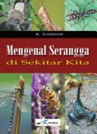 Mengenal Serangga Di Sekitar Kita